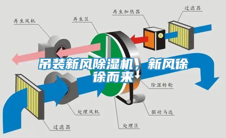 吊裝新風(fēng)除濕機(jī)，新風(fēng)徐徐而來