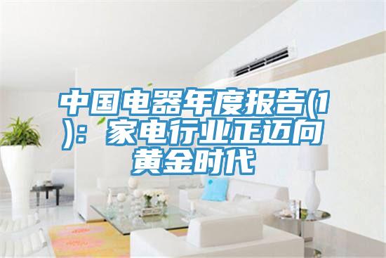 中國(guó)電器年度報(bào)告(1)：家電行業(yè)正邁向黃金時(shí)代