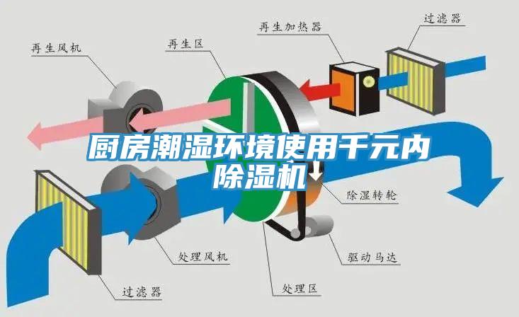 廚房潮濕環(huán)境使用千元內(nèi)除濕機(jī)