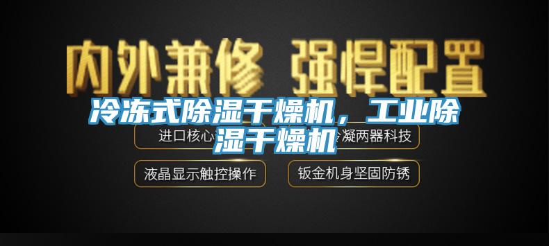 冷凍式除濕干燥機，工業(yè)除濕干燥機