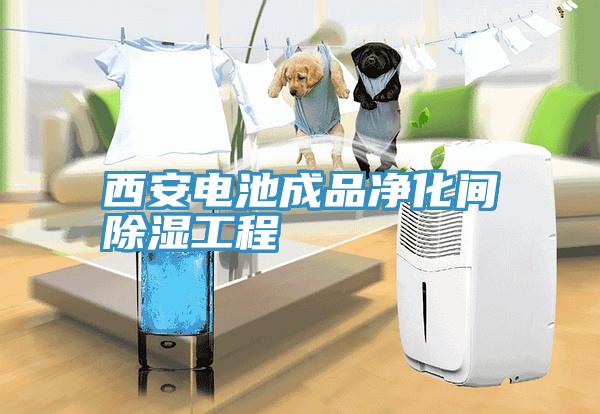 西安電池成品凈化間除濕工程