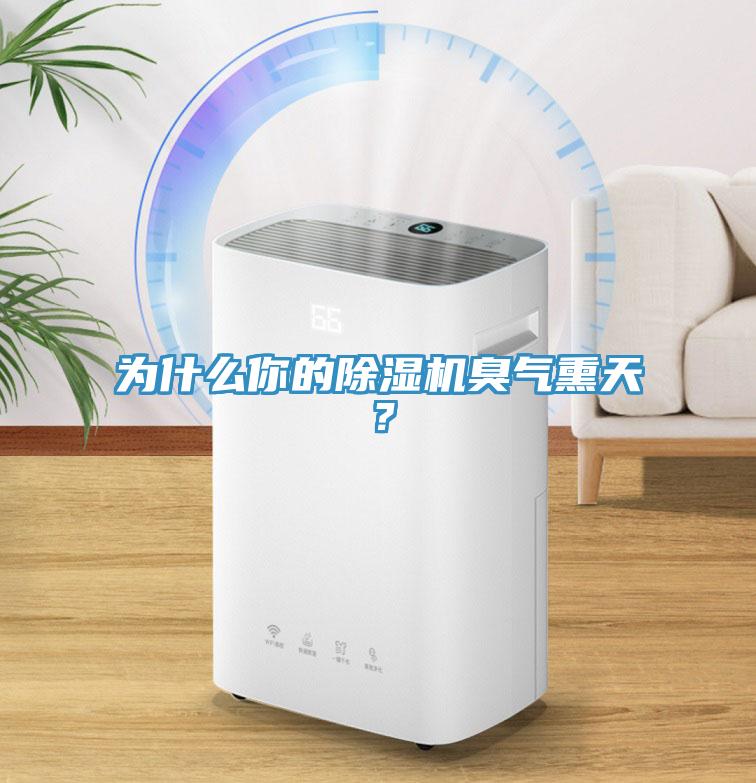 為什么你的除濕機(jī)臭氣熏天？