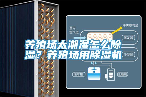 養(yǎng)殖場(chǎng)太潮濕怎么除濕？養(yǎng)殖場(chǎng)用除濕機(jī)