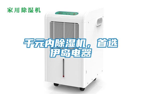 千元內(nèi)除濕機，首選伊島電器