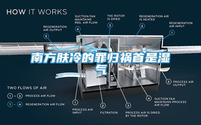 南方膚冷的罪歸禍首是濕氣