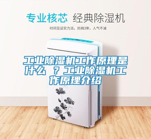 工業(yè)除濕機工作原理是什么 ？工業(yè)除濕機工作原理介紹