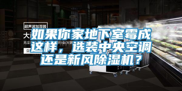 如果你家地下室霉成這樣，選裝中央空調(diào)還是新風(fēng)除濕機？