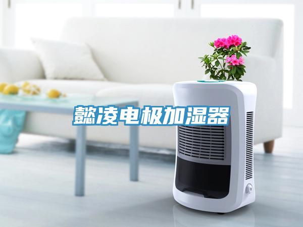 懿凌電極加濕器