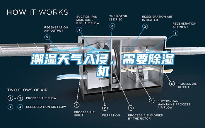 潮濕天氣入侵，需要除濕機(jī)