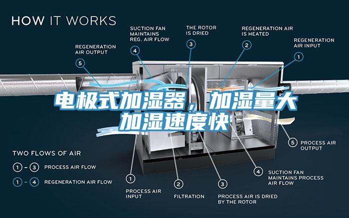 電極式加濕器，加濕量大加濕速度快