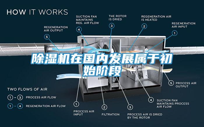 除濕機(jī)在國內(nèi)發(fā)展屬于初始階段