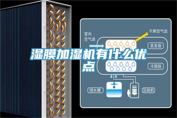 濕膜加濕機(jī)有什么優(yōu)點(diǎn)