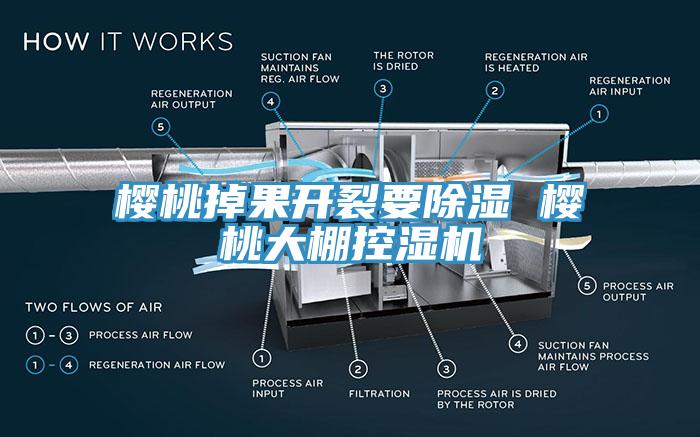 櫻桃掉果開裂要除濕 櫻桃大棚控濕機