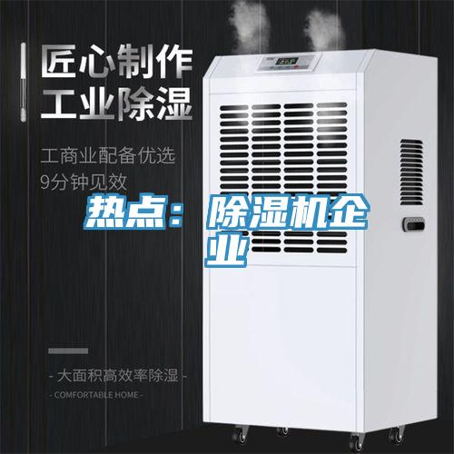 熱點：除濕機企業(yè)