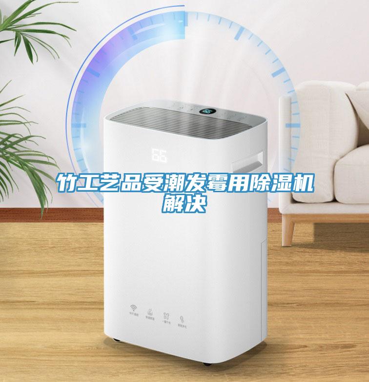 竹工藝品受潮發(fā)霉用除濕機(jī)解決