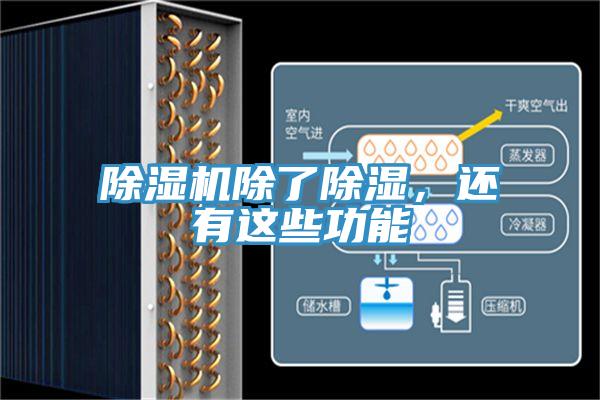 除濕機除了除濕，還有這些功能