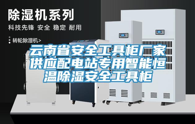 云南省安全工具柜廠家供應(yīng)配電站專用智能恒溫除濕安全工具柜