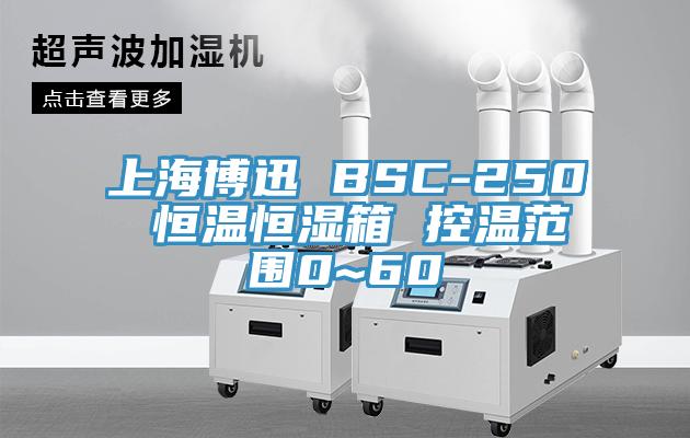 上海博迅 BSC-250 恒溫恒濕箱 控溫范圍0~60℃