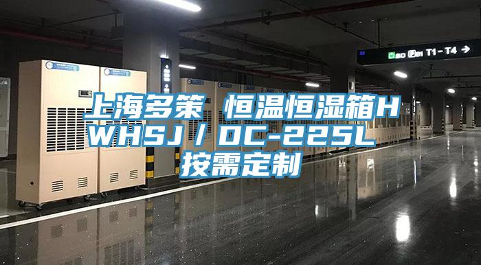 上海多策 恒溫恒濕箱HWHSJ／DC-225L 按需定制