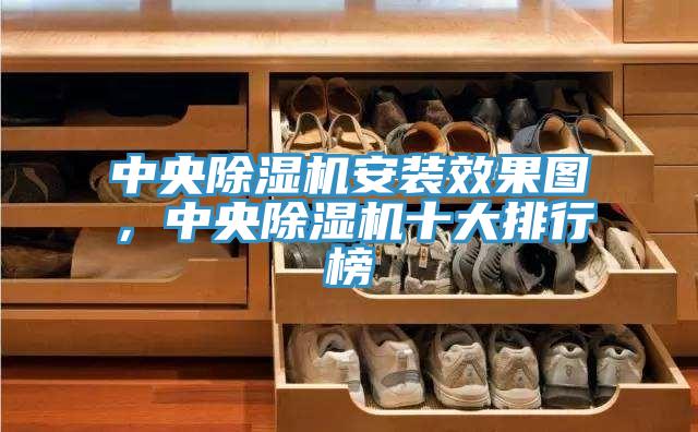 中央除濕機(jī)安裝效果圖，中央除濕機(jī)十大排行榜