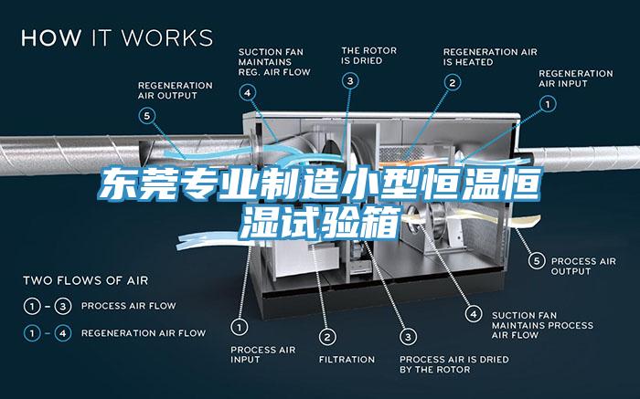 東莞專業(yè)制造小型恒溫恒濕試驗箱