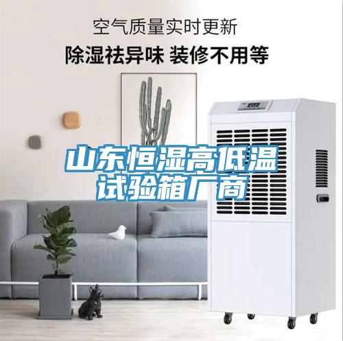 山東恒濕高低溫試驗箱廠商