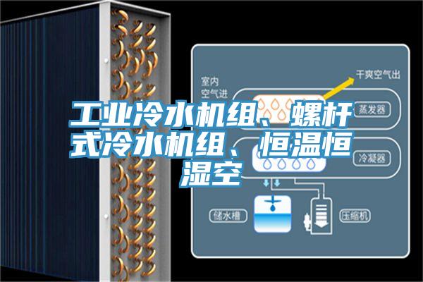 工業(yè)冷水機(jī)組、螺桿式冷水機(jī)組、恒溫恒濕空