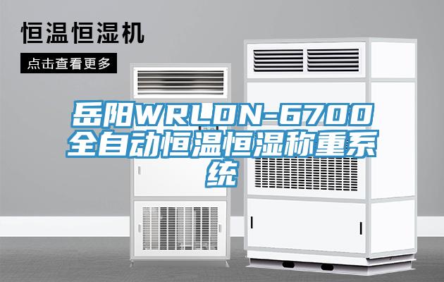 岳陽(yáng)WRLDN-6700全自動(dòng)恒溫恒濕稱(chēng)重系統(tǒng)