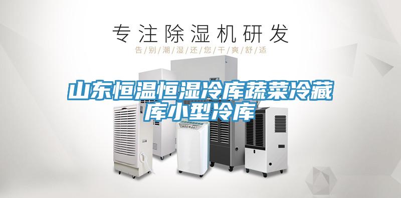 山東恒溫恒濕冷庫蔬菜冷藏庫小型冷庫