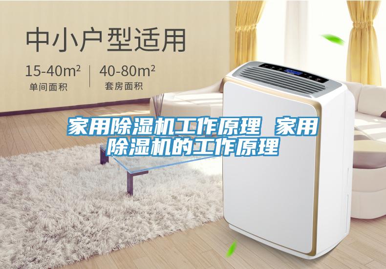 家用除濕機工作原理 家用除濕機的工作原理