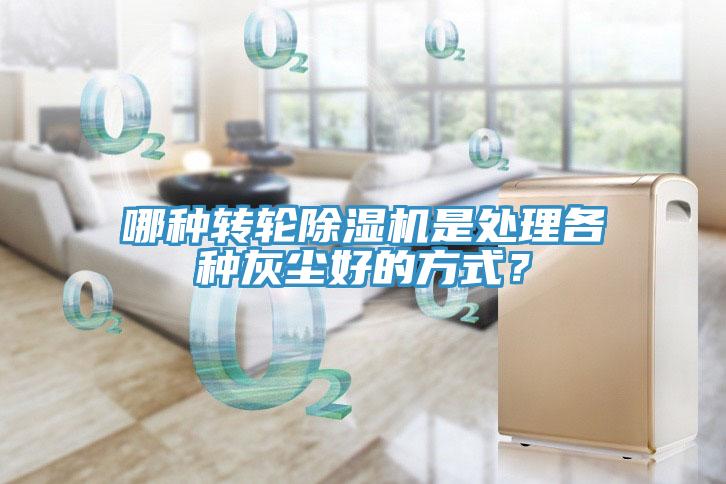 哪種轉(zhuǎn)輪除濕機(jī)是處理各種灰塵好的方式？