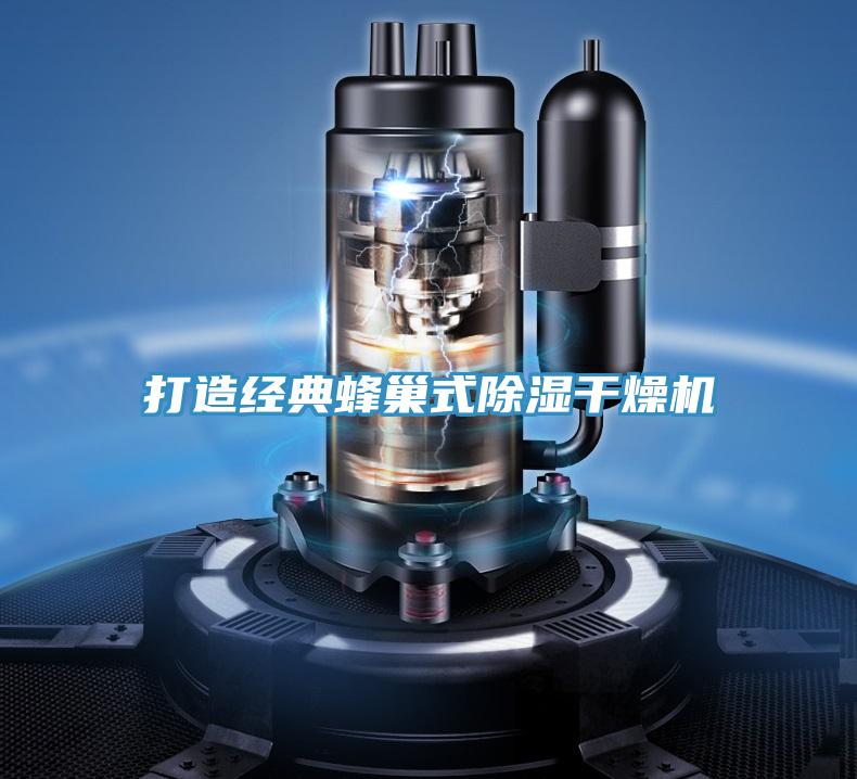 打造經(jīng)典蜂巢式除濕干燥機