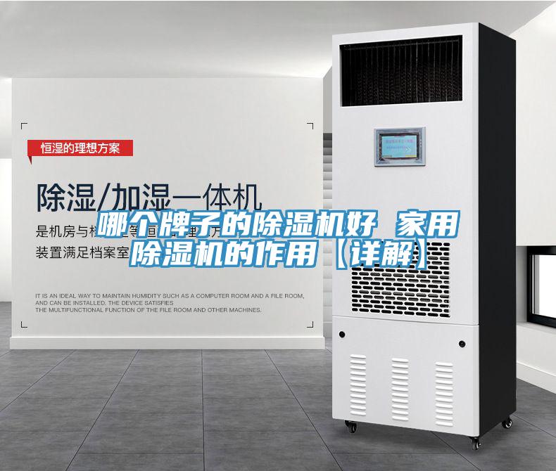 哪個(gè)牌子的除濕機(jī)好 家用除濕機(jī)的作用【詳解】