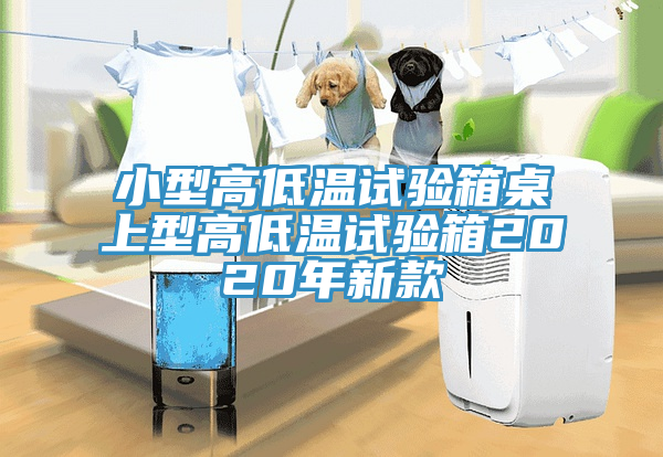 小型高低溫試驗箱桌上型高低溫試驗箱2020年新款