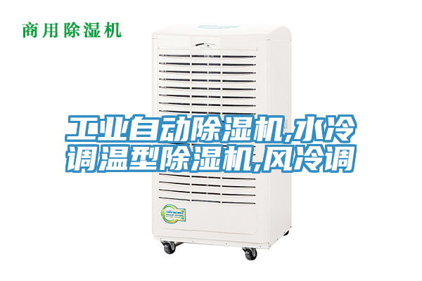 工業(yè)自動除濕機,水冷調(diào)溫型除濕機,風冷調(diào)