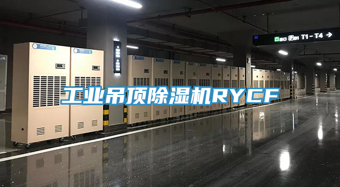 工業(yè)吊頂除濕機(jī)RYCF