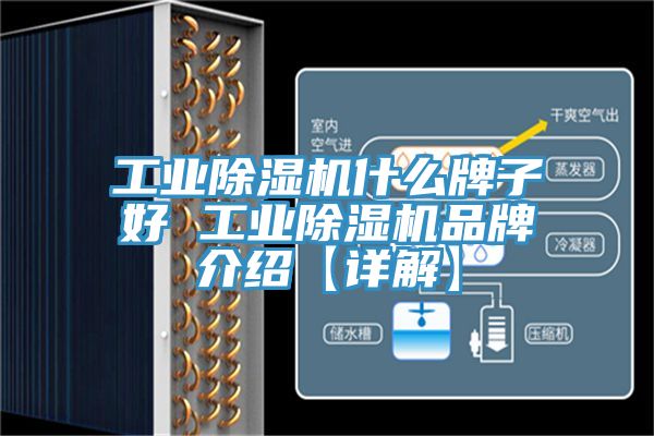 工業(yè)除濕機什么牌子好 工業(yè)除濕機品牌介紹【詳解】