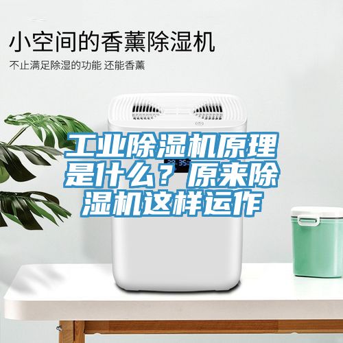 工業(yè)除濕機(jī)原理是什么？原來(lái)除濕機(jī)這樣運(yùn)作