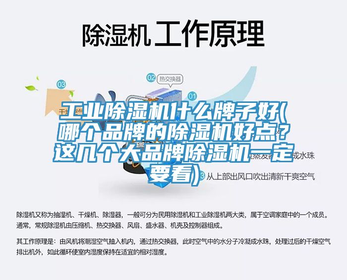 工業(yè)除濕機什么牌子好(哪個品牌的除濕機好點？這幾個大品牌除濕機一定要看)