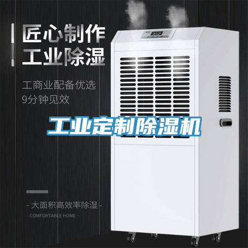 工業(yè)定制除濕機