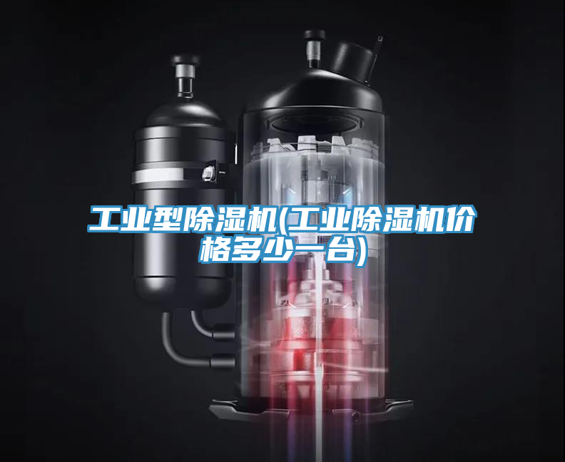 工業(yè)型除濕機(工業(yè)除濕機價格多少一臺)