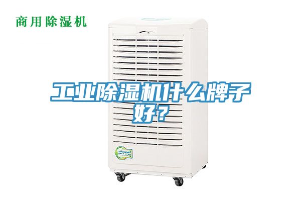 工業(yè)除濕機什么牌子好？