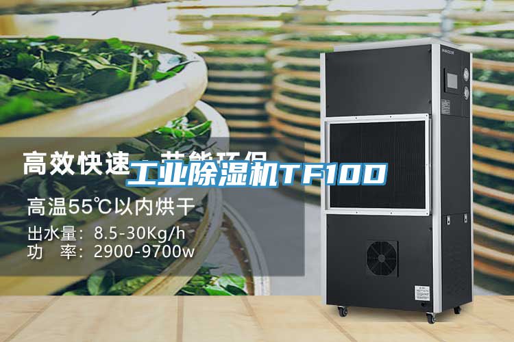 工業(yè)除濕機(jī)TF10D