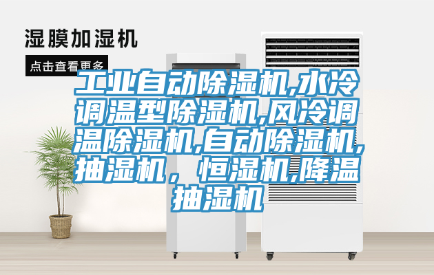 工業(yè)自動除濕機,水冷調(diào)溫型除濕機,風冷調(diào)溫除濕機,自動除濕機,抽濕機，恒濕機,降溫抽濕機