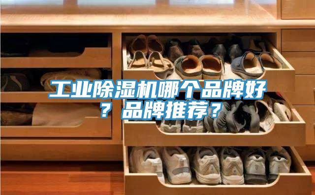 工業(yè)除濕機哪個品牌好？品牌推薦？