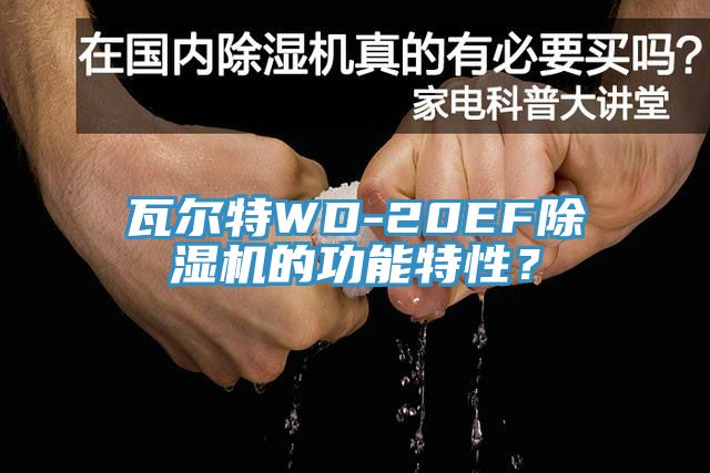 瓦爾特WD-20EF除濕機(jī)的功能特性？