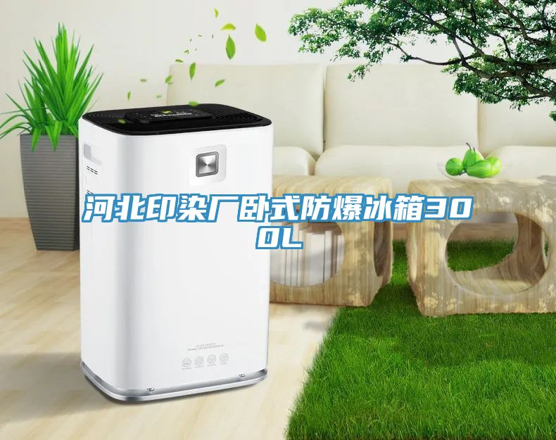 河北印染廠臥式防爆冰箱300L