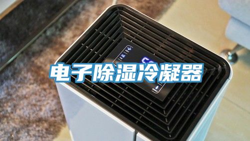 電子除濕冷凝器