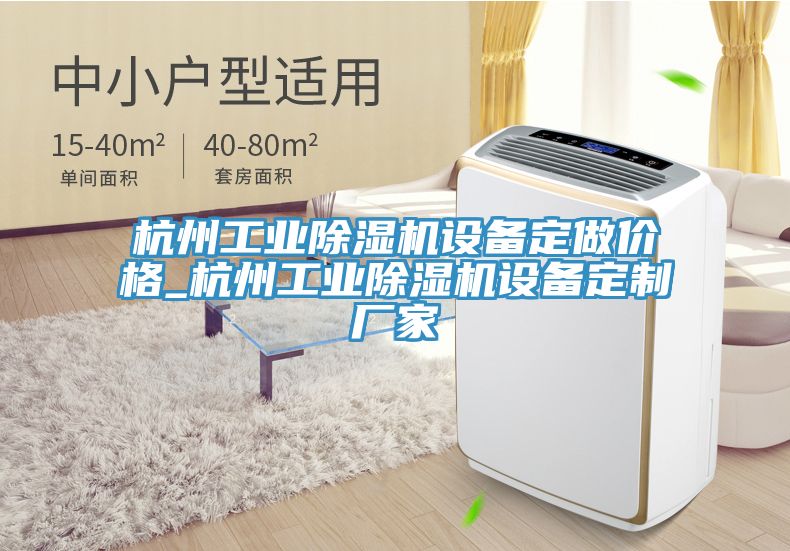 杭州工業(yè)除濕機設備定做價格_杭州工業(yè)除濕機設備定制廠家