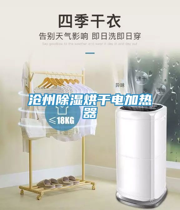 滄州除濕烘干電加熱器